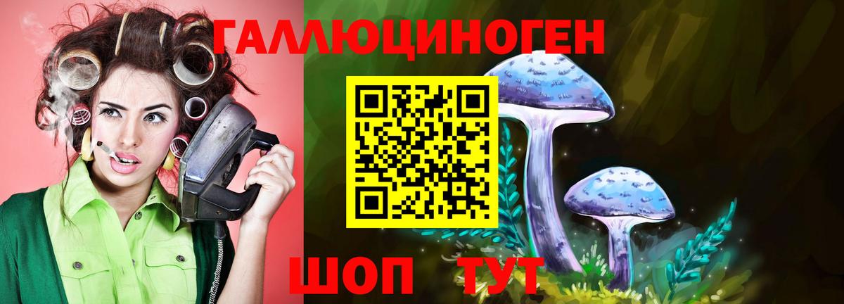 Галлюциногенные грибы прущие грибы  Вход с VPN  Псилоцибиновые грибы мухоморы  Тельмана 